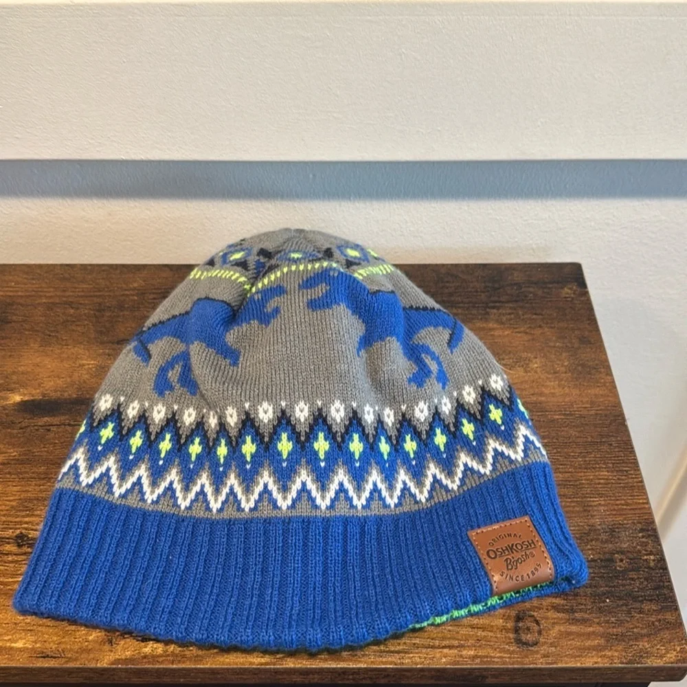 Reservable Osh Kosh Winter Hat Dinosaur lime green blue size 4-7 age